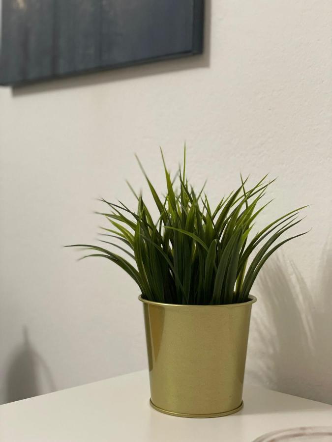 萨格勒布Apartman Casalope公寓 外观 照片
